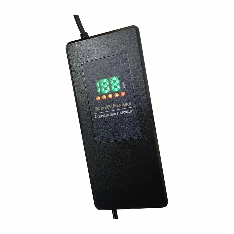Lead Acid Car Battery Charger best